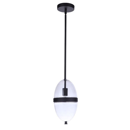 1 Light Outdoor Pendant