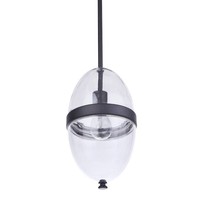 1 Light Outdoor Pendant