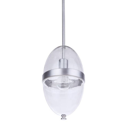 1 Light Outdoor Pendant