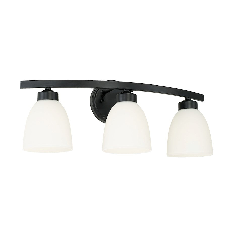 HomePlace Lighting Jameson 3 Light Vanity, Black/White - 114331MB-333