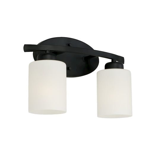 HomePlace Lighting Dixon 2 Light Vanity, Black/White - 115221MB-338