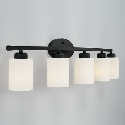 Bathroom Vanity Light, Black