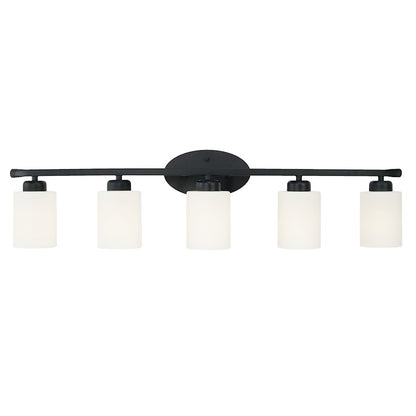 Bathroom Vanity Light, Black