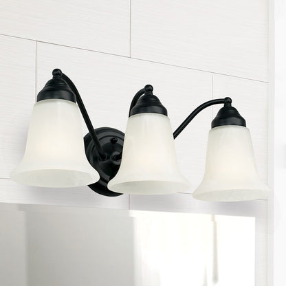 Bathroom Vanity Light, Black