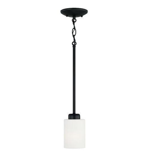 HomePlace Lighting Dixon 1 Light Pendant, Black/White - 315211MB-338