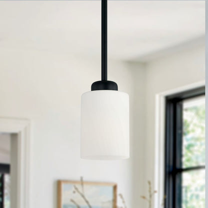 1 Light Pendant, Black/White