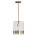 Capital Lighting 1 Light Pendant, Polished Brass with Clear Glass - 335911PB