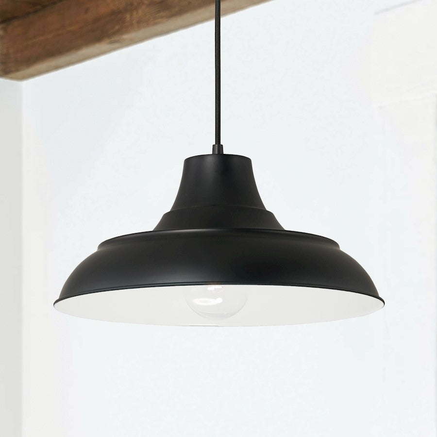 1 Light Pendant in Matte Black