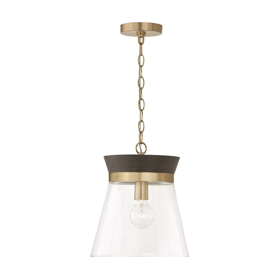 Capital Lighting Finn 1 Light Pendant, Black/Clear - 347311KR