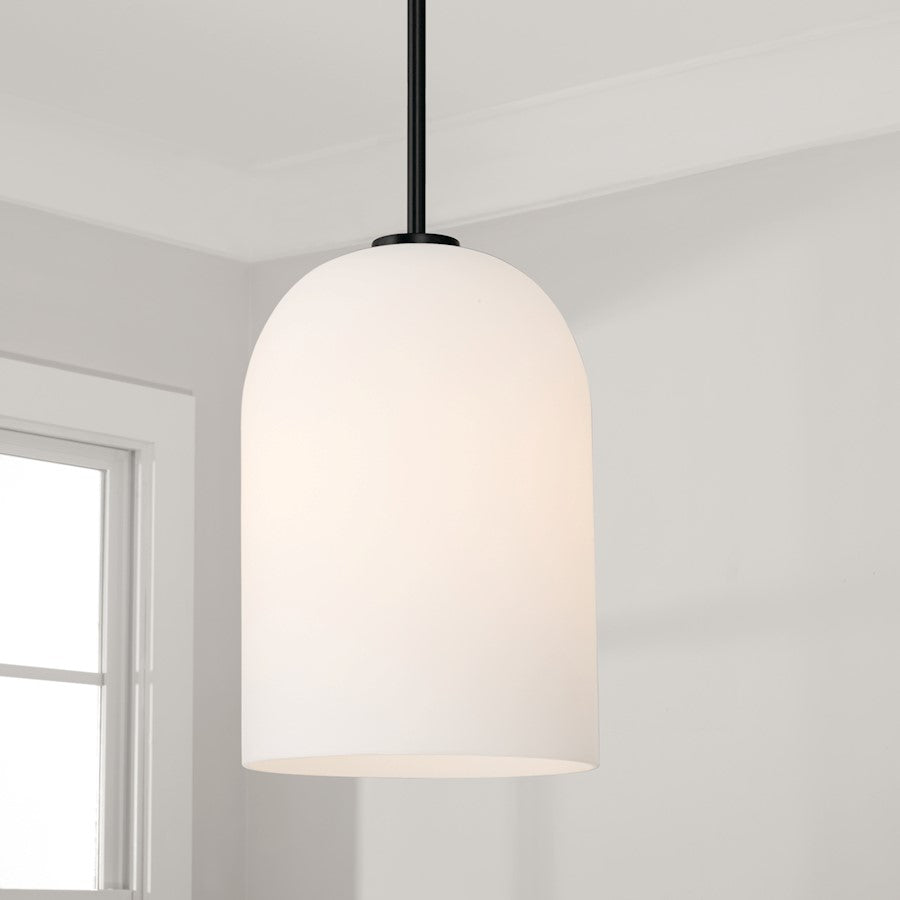 1 Light Pendant