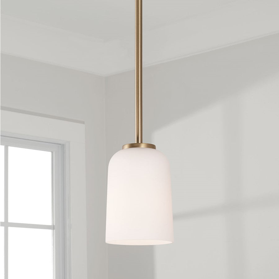 1 Light Pendant