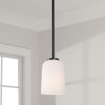 1 Light Pendant