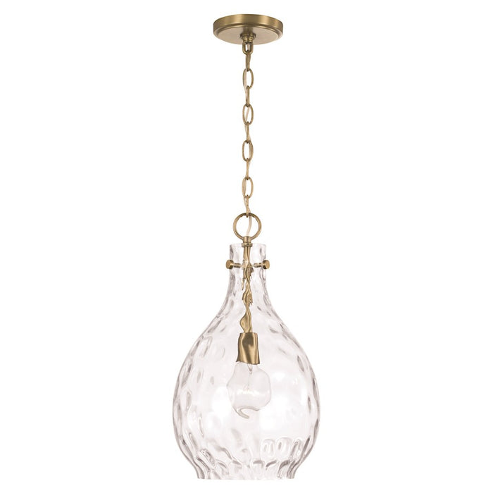 HomePlace Lighting Brentwood 1 Light Pendant, Brass/Clear Water - 349012AD