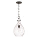 HomePlace Lighting Brentwood 1 Light Pendant, Black/Clear Water - 349012MB