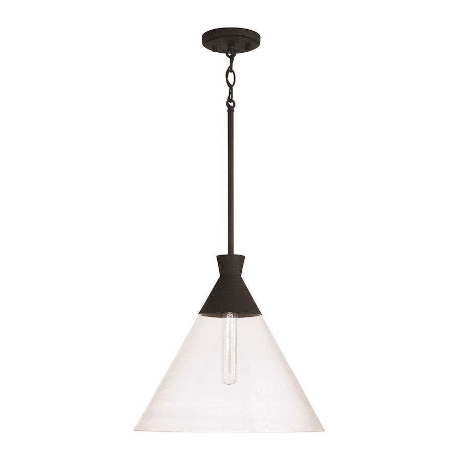 Capital Lighting Paloma 1 Light Pendant, Black/Clear - 350311XK