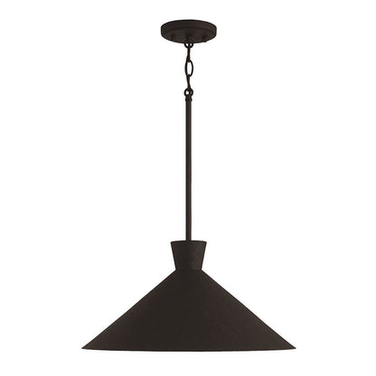 Capital Lighting Paloma 1 Light Pendant, Black - 350312XK