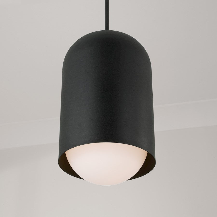 1 Light Pendant, Black Iron