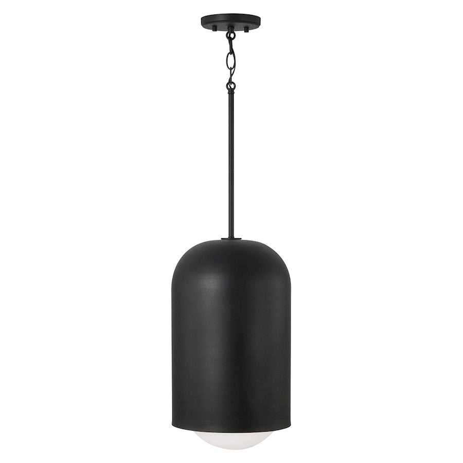 1 Light Pendant, Black Iron