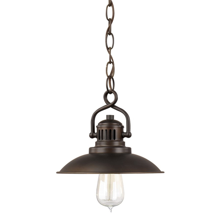 1 Light Mini Pendant, Burnished Bronze