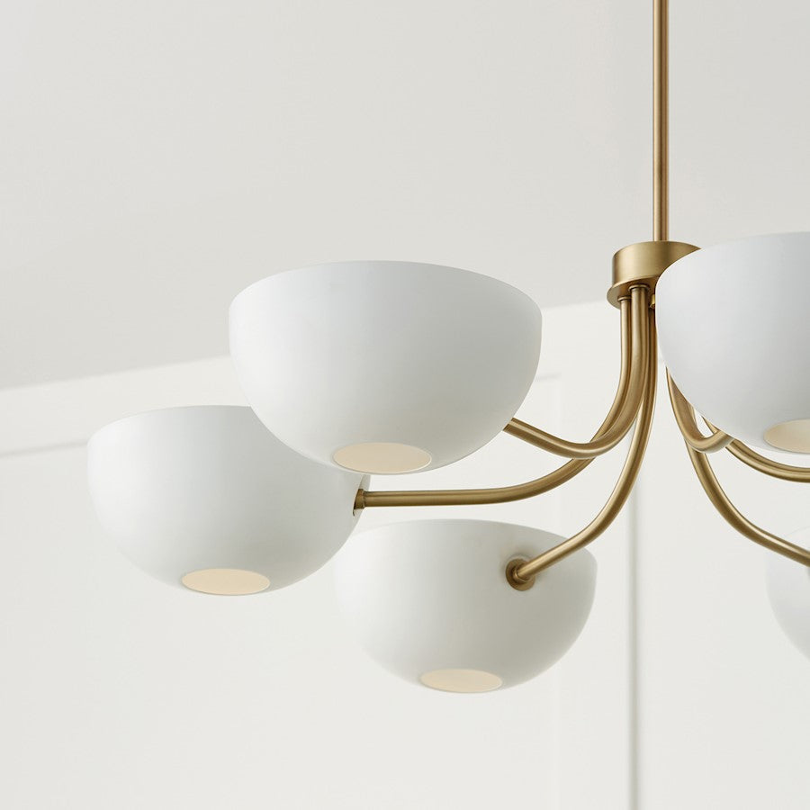 6 Light Chandelier, Brass