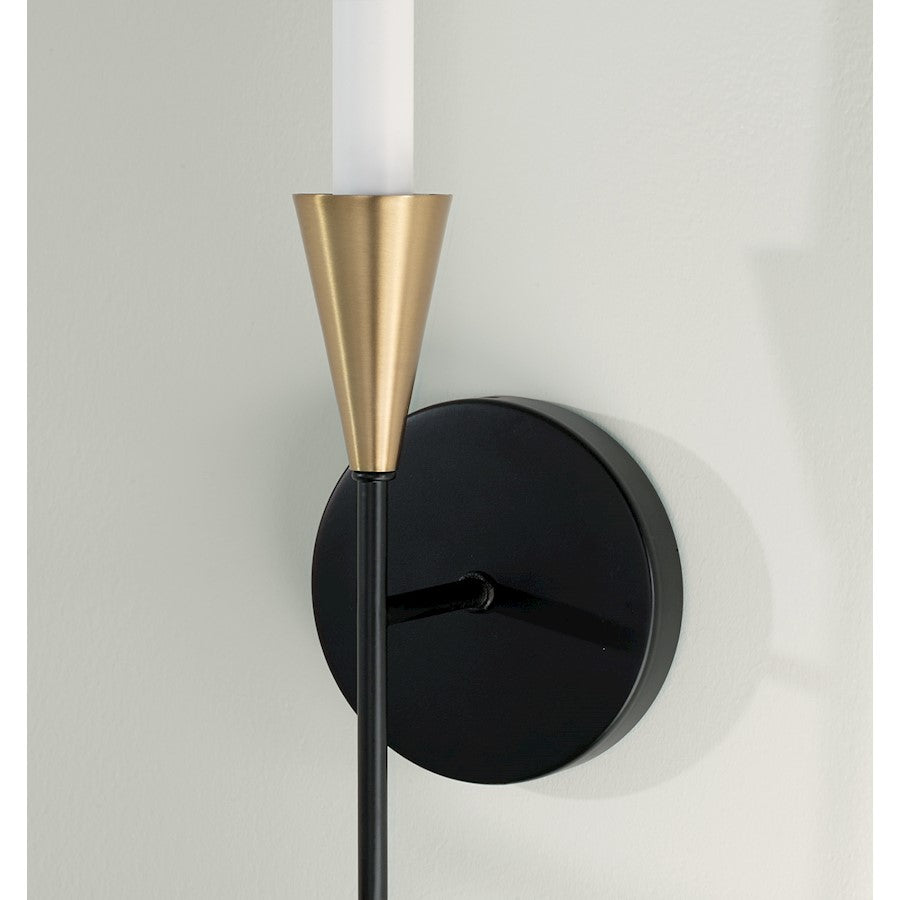 1 Light Wall Sconce