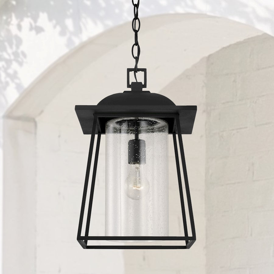 Capital Lighting Durham 1 Light Outdoor Hanging Lantern, Clear