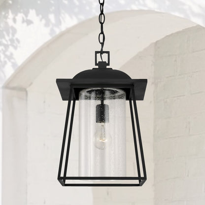 Capital Lighting Durham 1 Light Outdoor Hanging Lantern, Clear