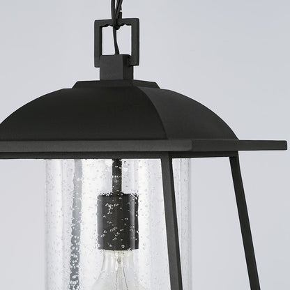 Capital Lighting Durham 1 Light Outdoor Hanging Lantern, Clear