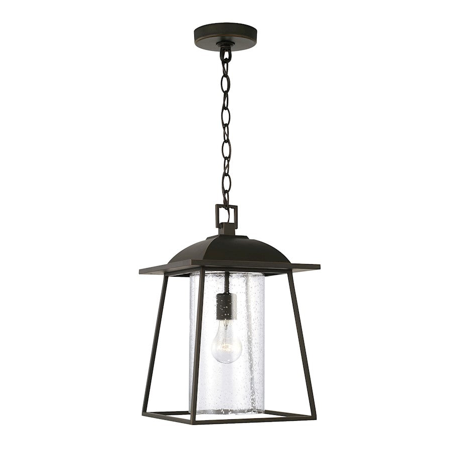 Capital Lighting Durham 1 Light Outdoor Hanging Lantern, Bronze/Clear - 943614OZ