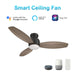 Carro Trento 48" Smart Ceiling Fan/Remote, Black/Wooden/Walnut - VS483Q-L12-BG-1