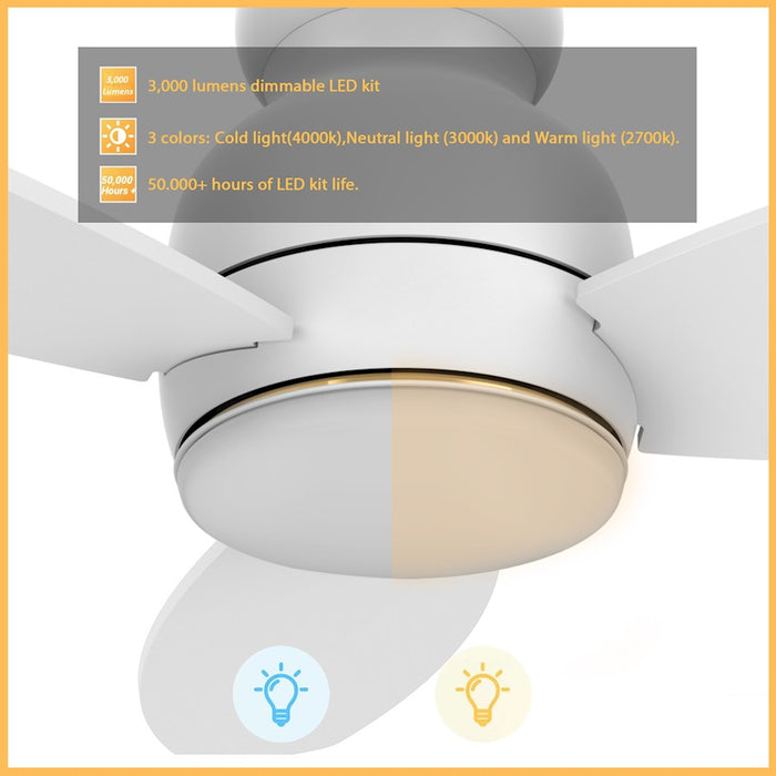 Carro Trento Smart Ceiling Fan/Remote/Light Kit