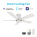 Carro Dubois 48" Ceiling Fan/Remote/Light Kit, White/White - VS485Q-L12-W1-1-FM