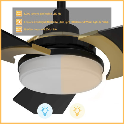 Carro Kaj Smart Ceiling Fan