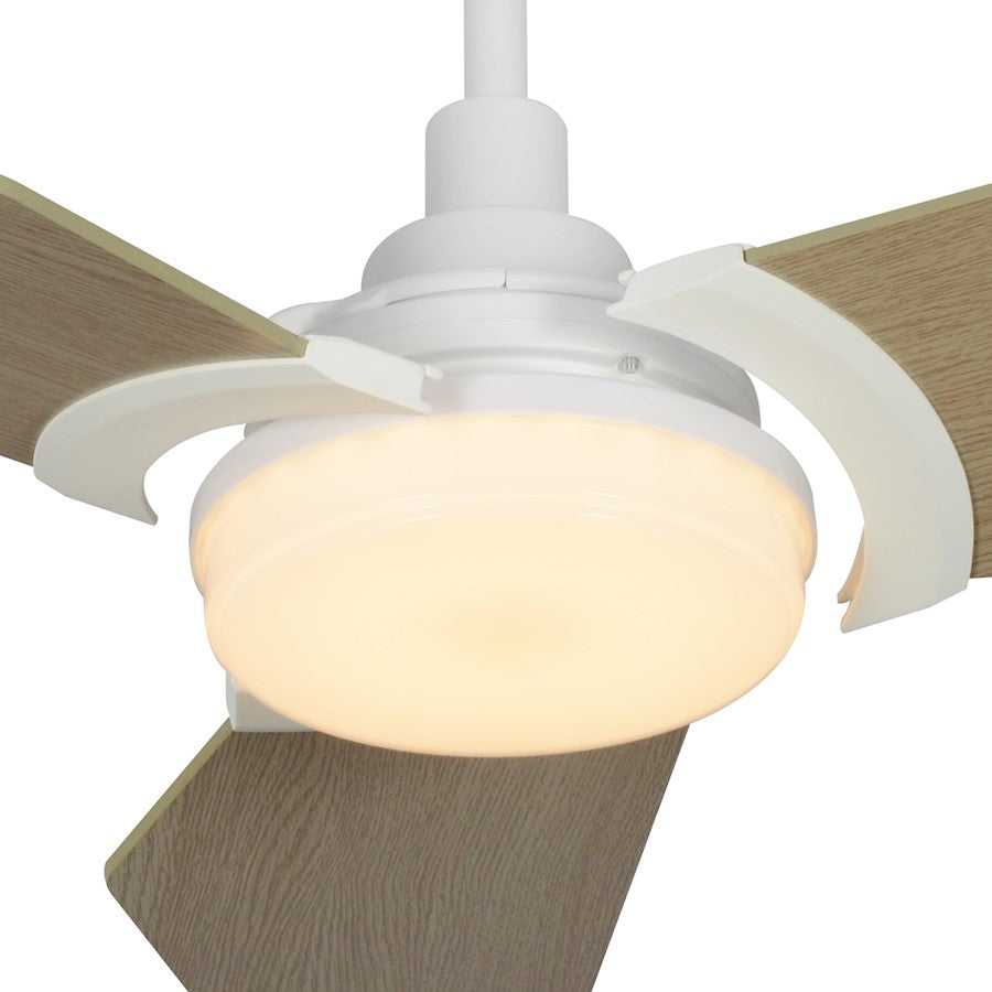 Carro Kaj Smart Ceiling Fan