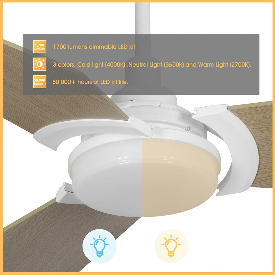 Carro Kaj Smart Ceiling Fan