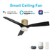 Carro Spezia 52" Smart Ceiling Fan, Gold/Black - VS523P-L12-G2-1-FM