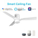 Carro Spezia 52" Smart Ceiling Fan, White/White - VS523P-L12-W1-1-FM