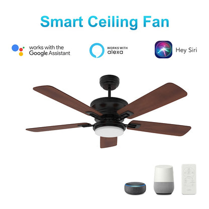 Carro Gladiolus 52" Smart Ceiling Fan/Light Kit, Black/Wooden - VS525G-L12-B3-1