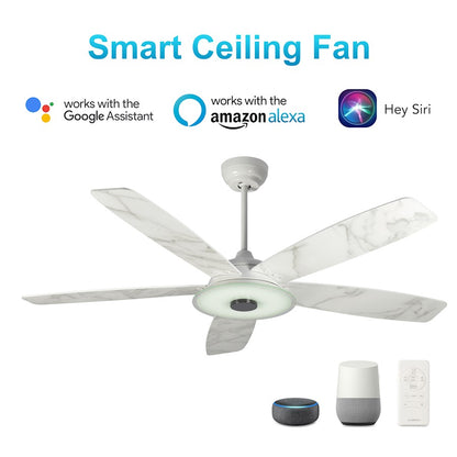 Carro Journey 52" Smart Ceiling Fan, White/White marble - VS525H-L13-W7-1