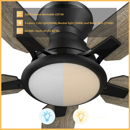 Carro Espear 52" Ceiling Fan/Remote/Light Kit