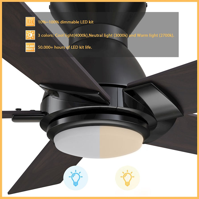 Carro Ascender 52" Ceiling Fan/Remote/Light Kit, Black/Walnut