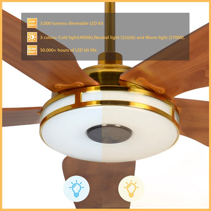 Carro Elira Smart Ceiling Fan