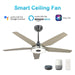 Carro Elira Smart 52" Ceiling Fan, Silver/Wooden - VS525S-L13-S6-1