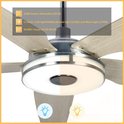 Carro Elira Smart Ceiling Fan