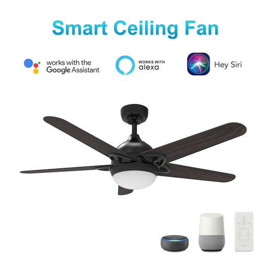 Carro Solasta 52" Smart Ceiling Fan/Remote, Black/Walnut - VS525W-L12-B5-1