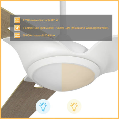 Carro Hoffen Smart Ceiling Fan