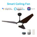 Carro Kaj 56" Smart Ceiling Fan, Black/Walnut - VS563B-L12-B5-1
