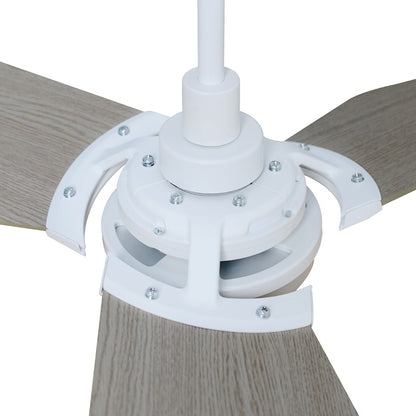 Carro Kaj Smart Ceiling Fan