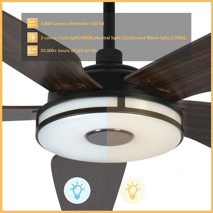 Carro Elira Smart Ceiling Fan