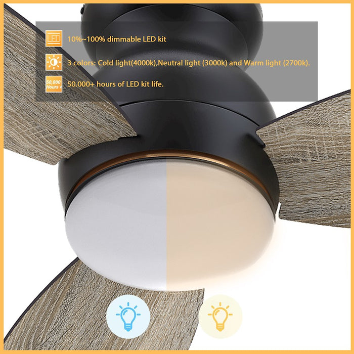 Carro Trento Ceiling Fan/Remote/Light Kit, Black/Walnut